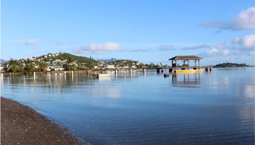 Charming & Convenient 1BR Bayview Suite with Ocean View